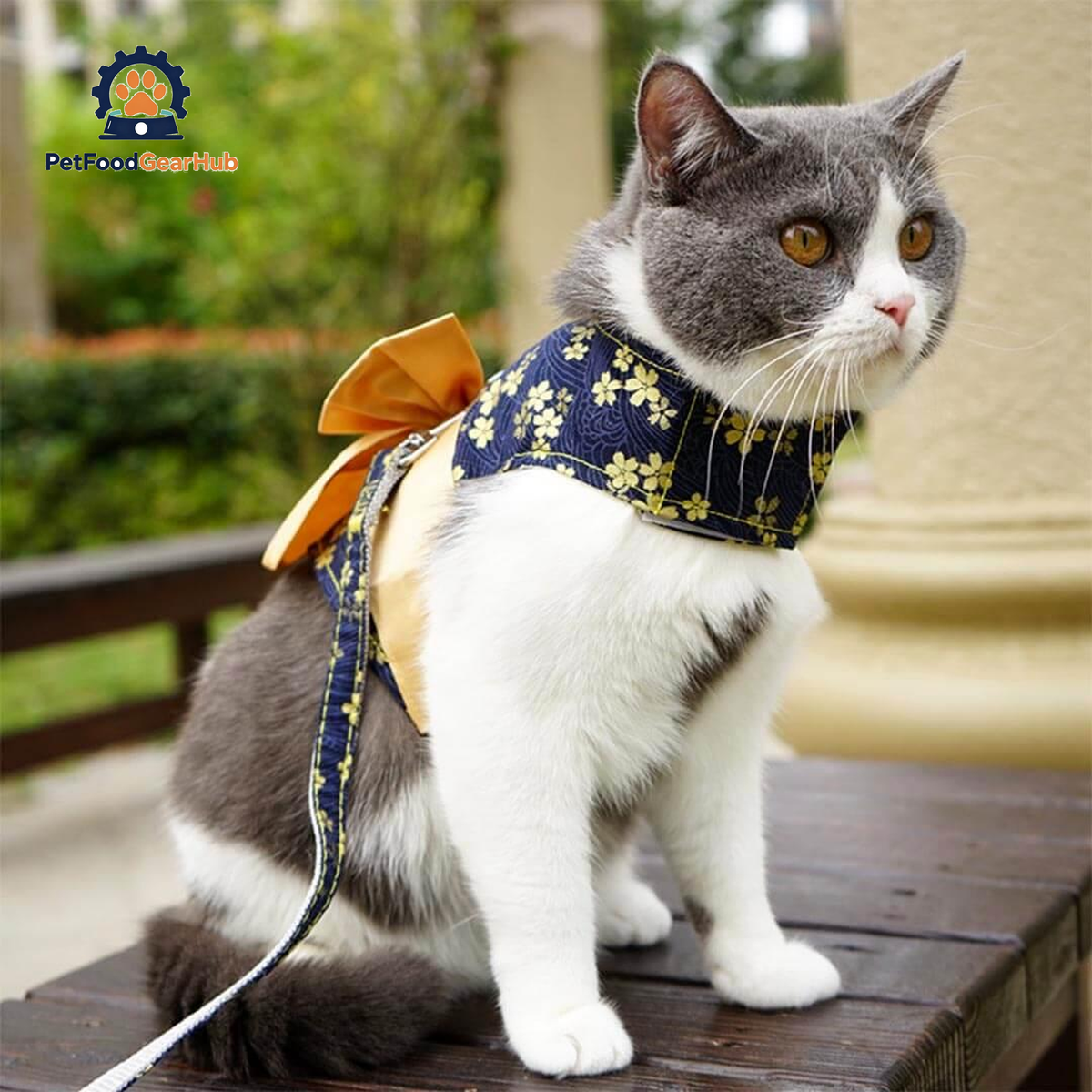Cat Wearing Yellow Bow Kimono Harness | PetFoodGearHub