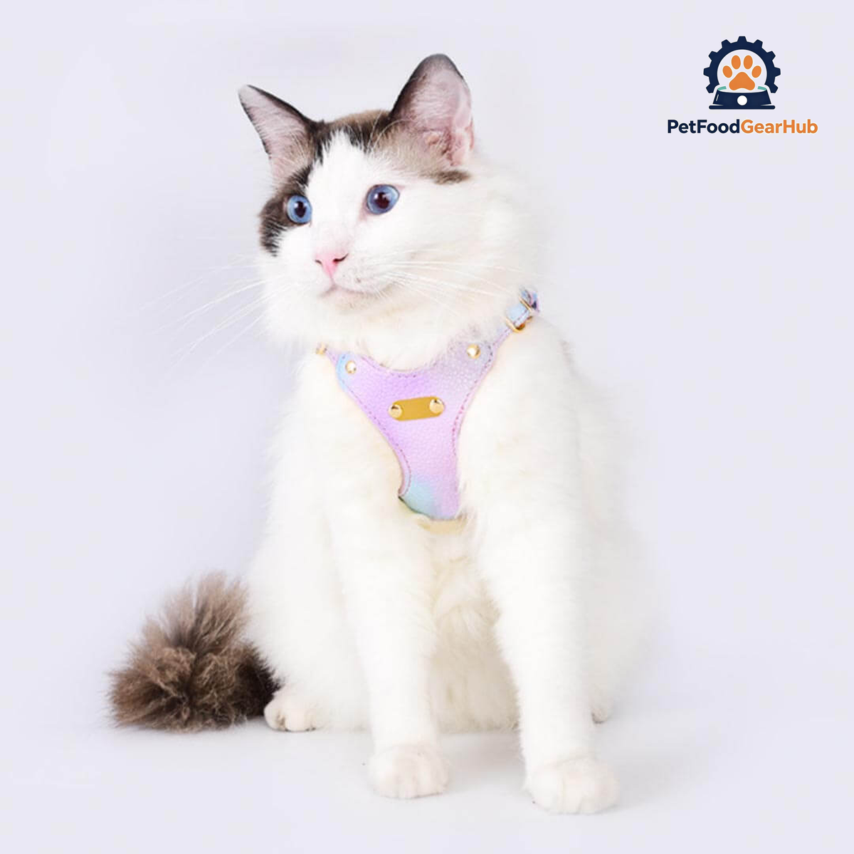 Cat in Purple Luxury Lightweight Vegan Leather Cat Harness | PetFoodGearHub