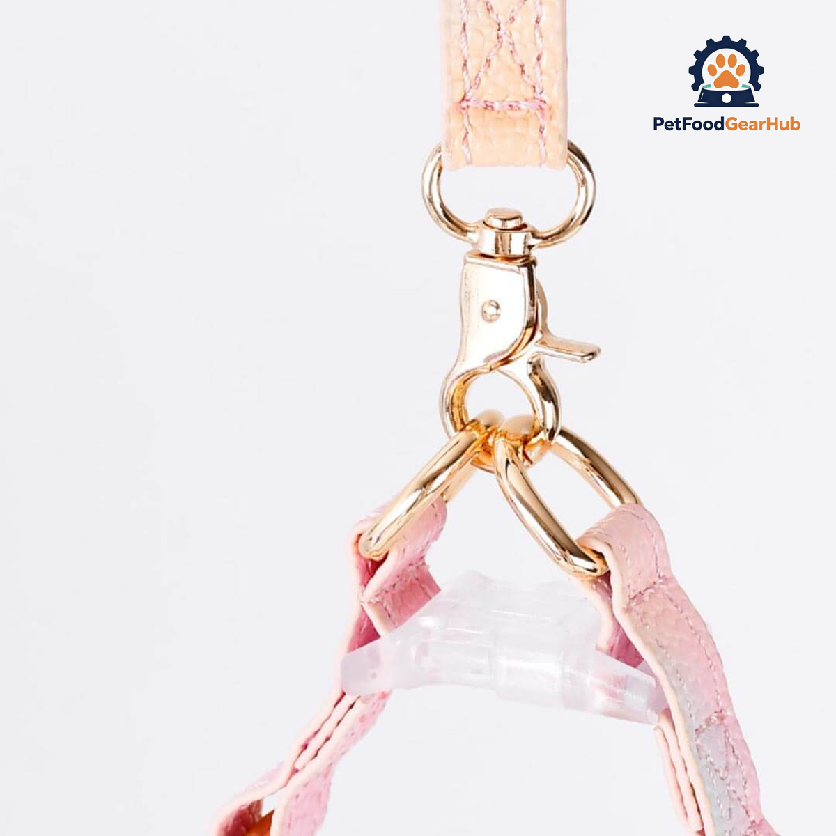 Metal Buckle on Aurora Gradient Cat Harness | PetFoodGearHub