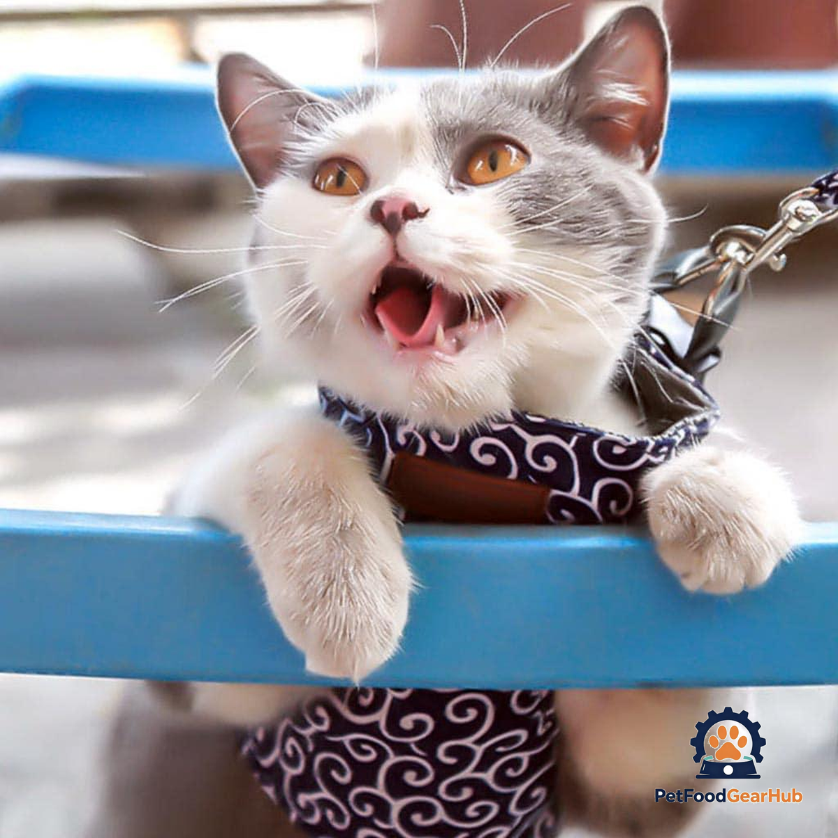 Cat Wearing Fuku Cat Harness in Blue Waves Pattern | PetFoodGearHub