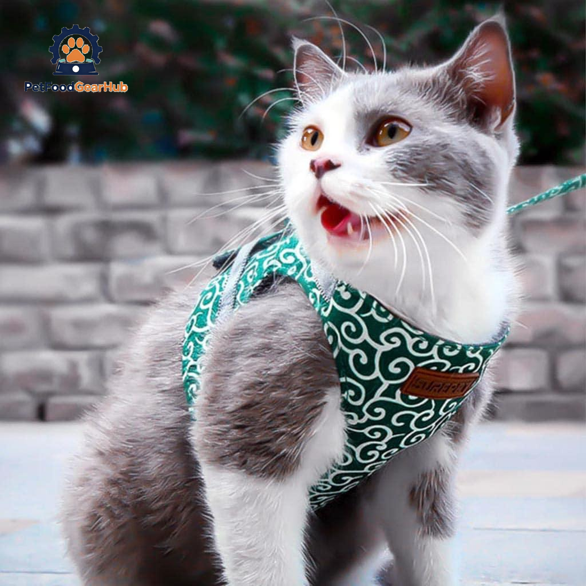 Cat in Fuku Cat Harness in Green Waves Pattern | PetFoodGearHub