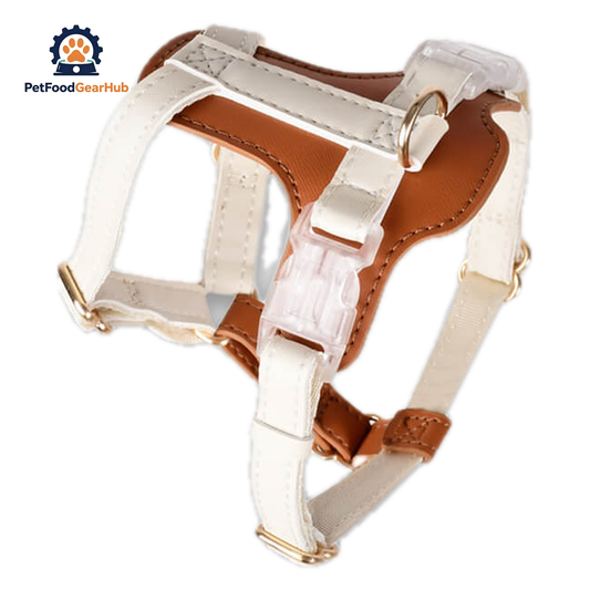 Phoenix Leather Cat Harness & Leash Set In Brown | PetFoodGearHub