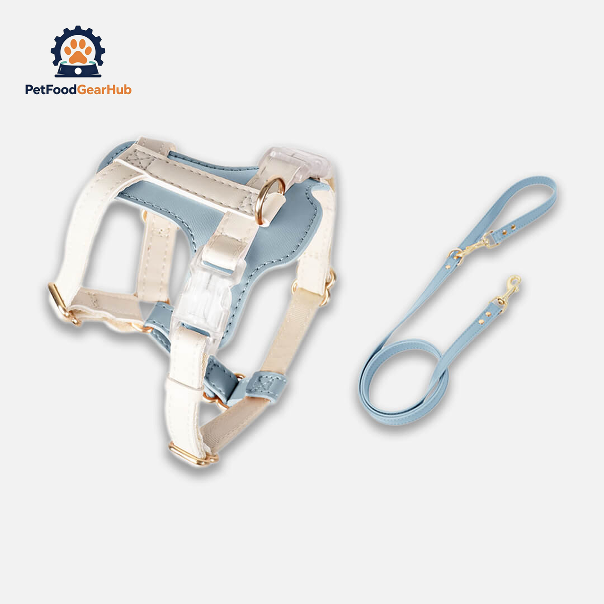 Phoenix Leather Cat Harness & Leash Set In Blue | PetFoodGearHub
