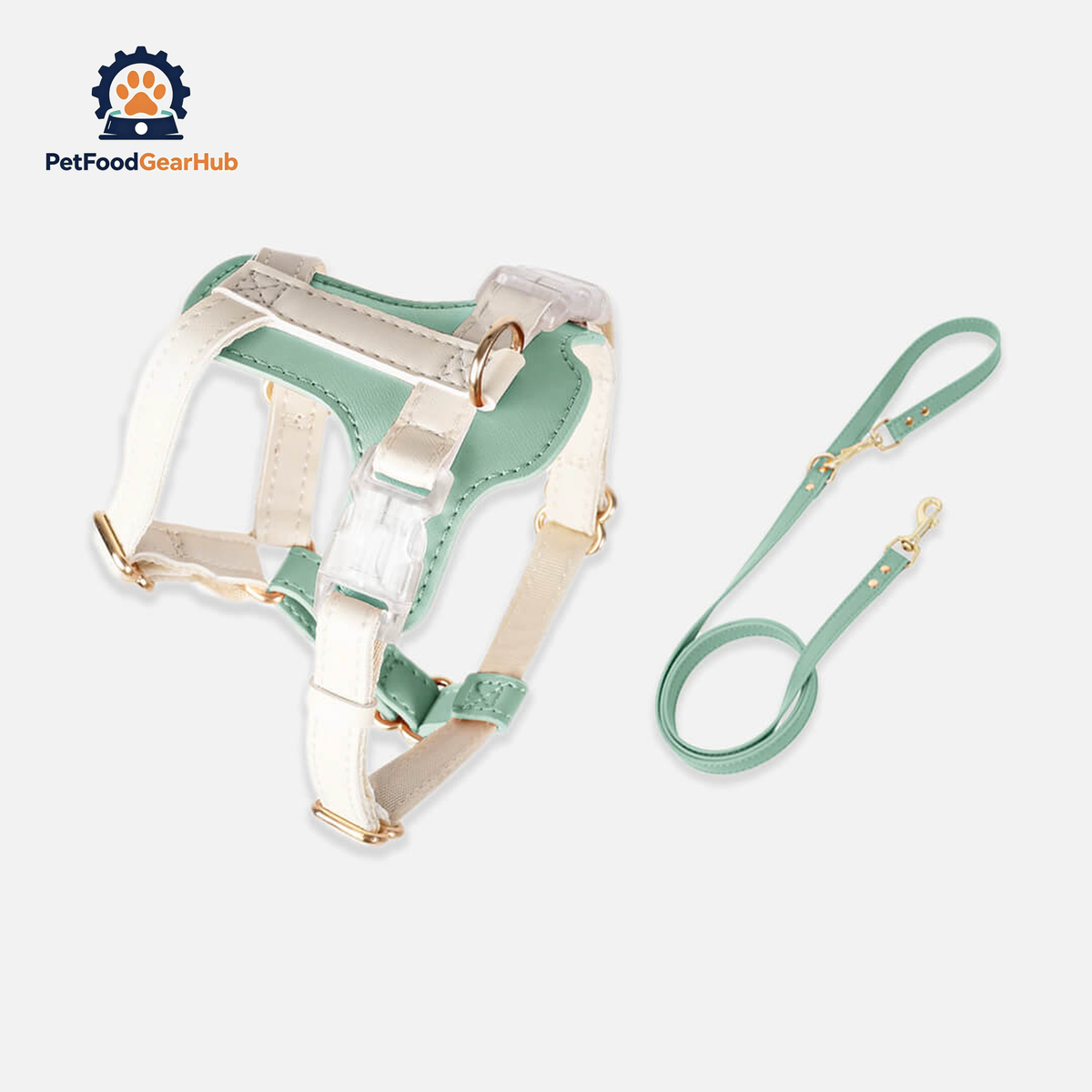 Phoenix Leather Cat Harness & Leash Set In Green | PetFoodGearHub