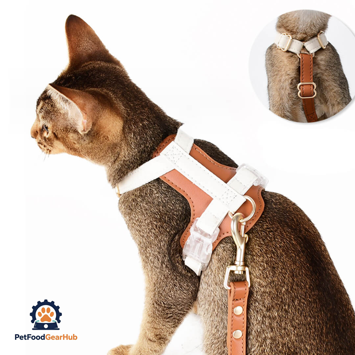 Buckle On Phoenix Leather Cat Harness | PetFoodGearHub