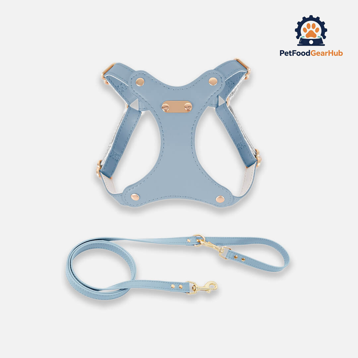 Rio Cat Harness & Leash Set in Blue Leather | PetFoodGearHub