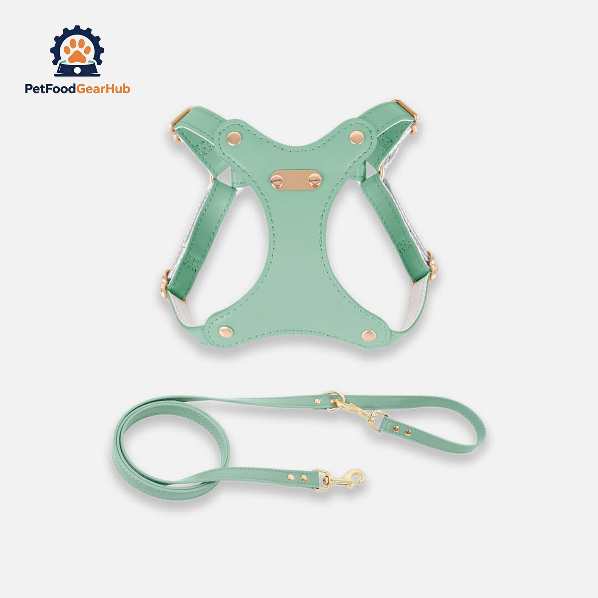 Rio Cat Harness & Leash Set in Green Leather | PetFoodGearHub