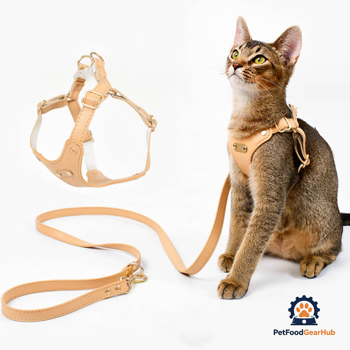 Cat Wearing Rio Cat Harness in Tan | PetFoodGearHub