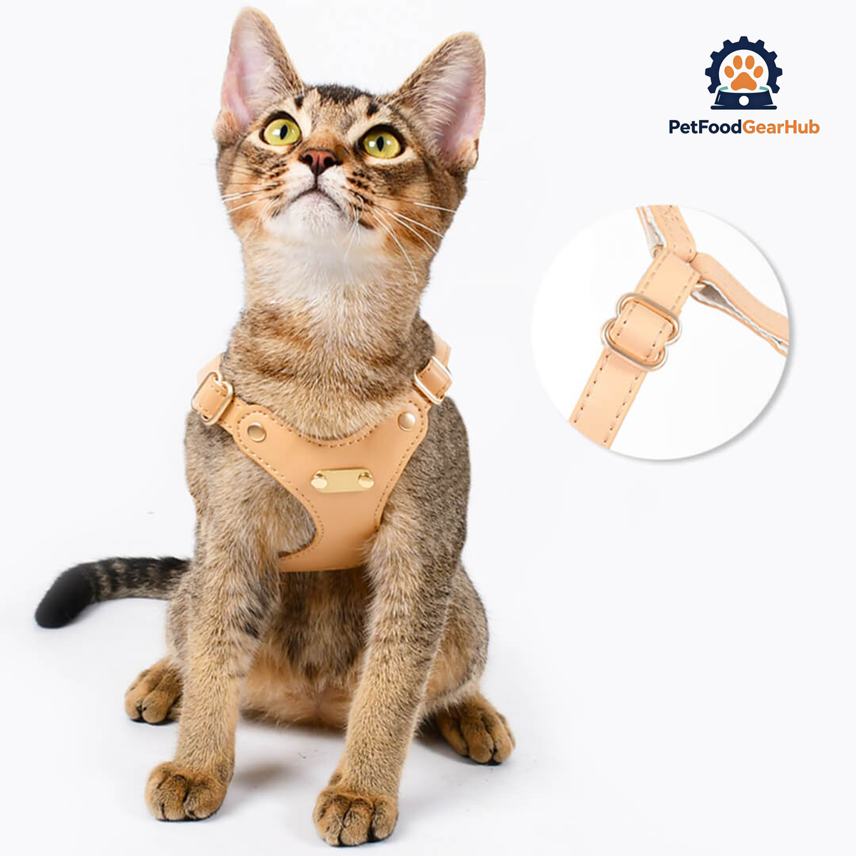 Rio Cat Harness Buckle | PetFoodGearHub