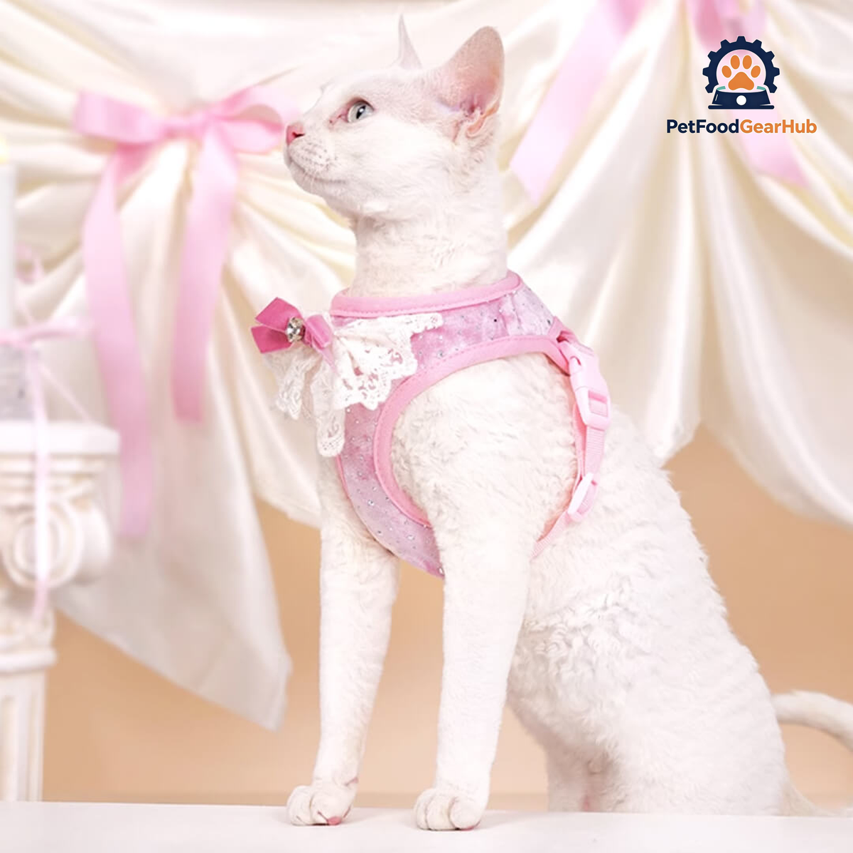 Cat in Pink Sparkle Cat Vest Harness | PetFoodGearHub