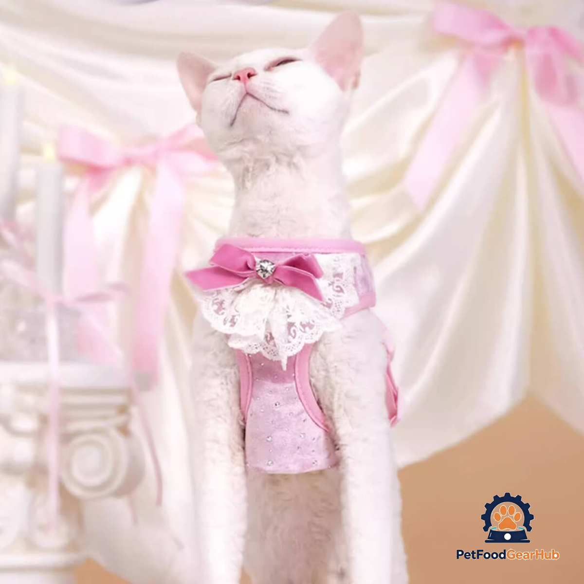 Devon Rex in Pink Sparkle Cat Vest Harness | PetFoodGearHub