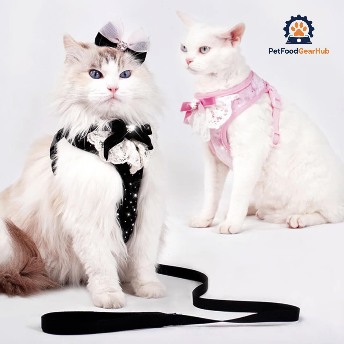 Cats in Sparkle Cat Vest Harnesses | PetFoodGearHub