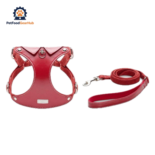 Red Leather Cat Harness & Leather Set for Walking | PetFoodGearHub
