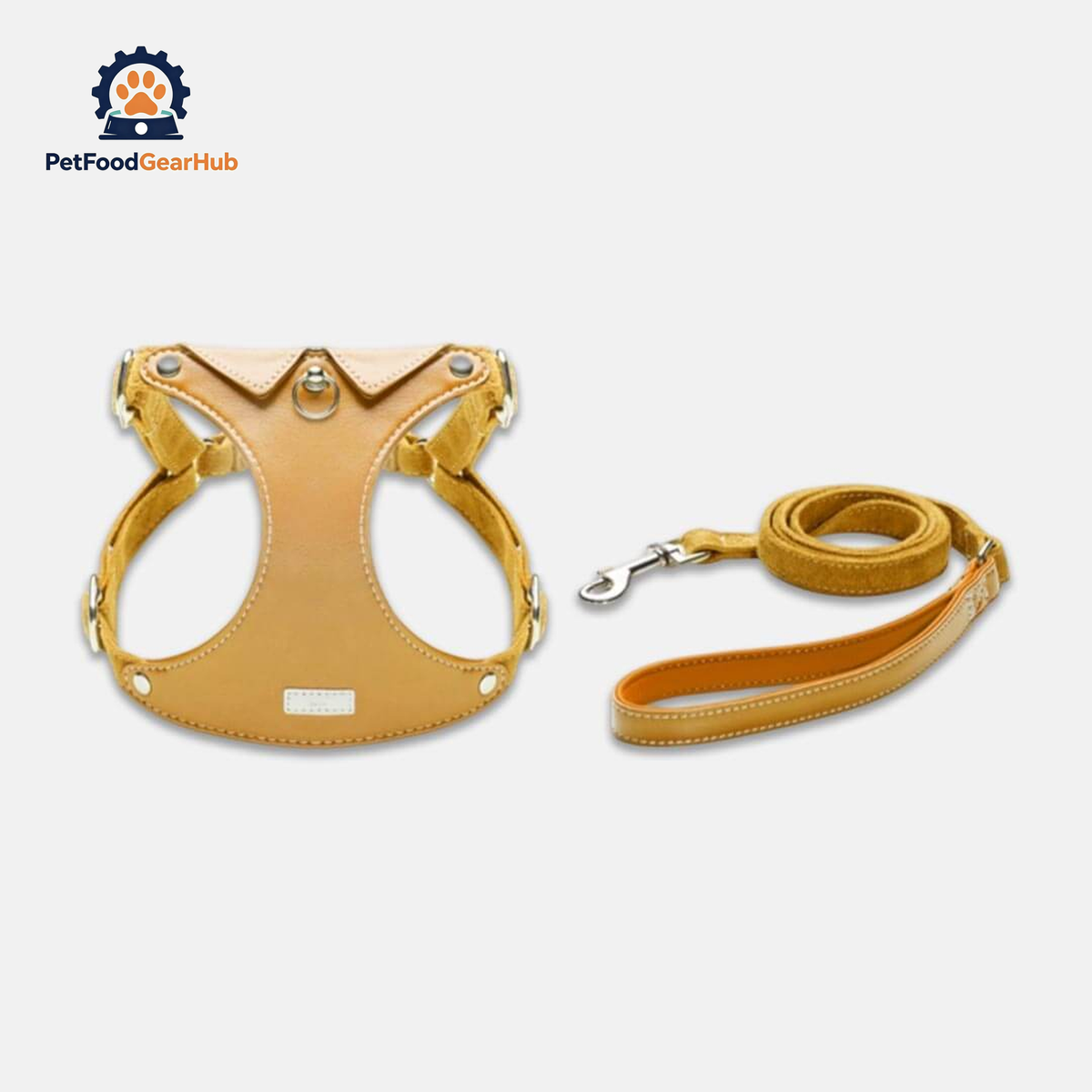 Yellow Leather Cat Harness & Leather Set for Walking | PetFoodGearHub