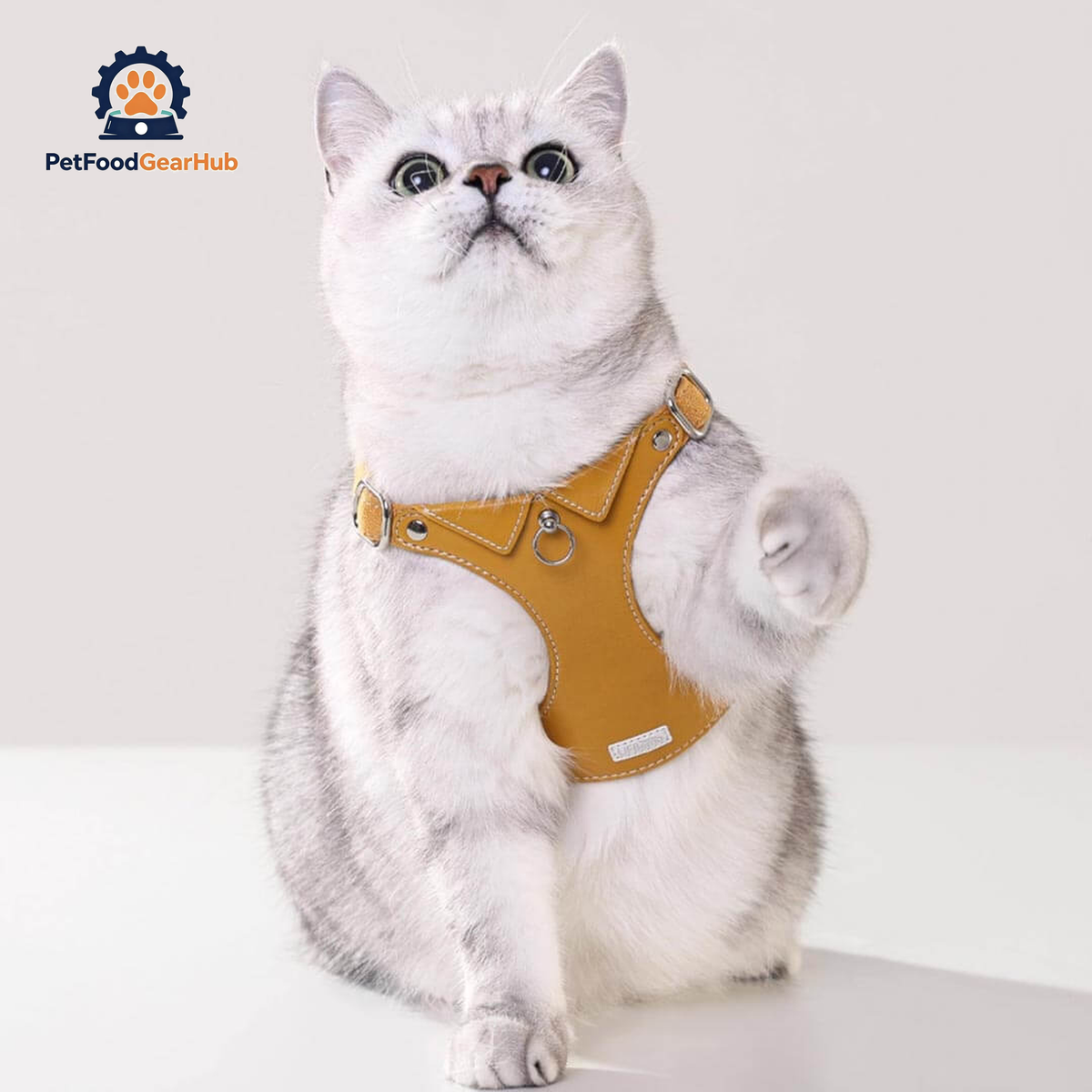 Cat in Stylish Yellow Leather Cat Harness | PetFoodGearHub