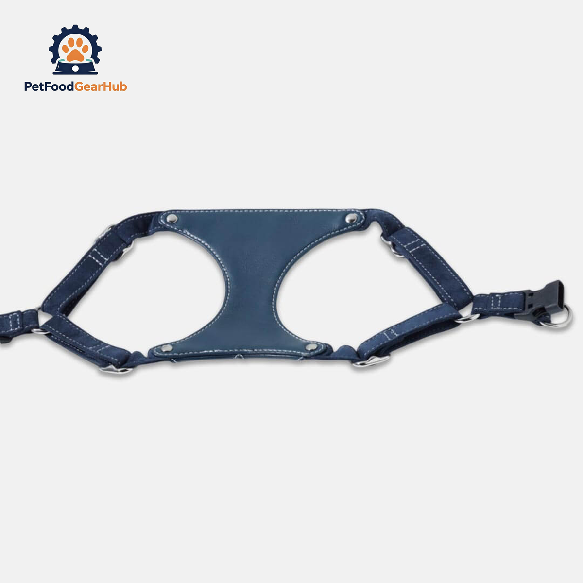 Stylish Blue Leather Cat Harness | PetFoodGearHub