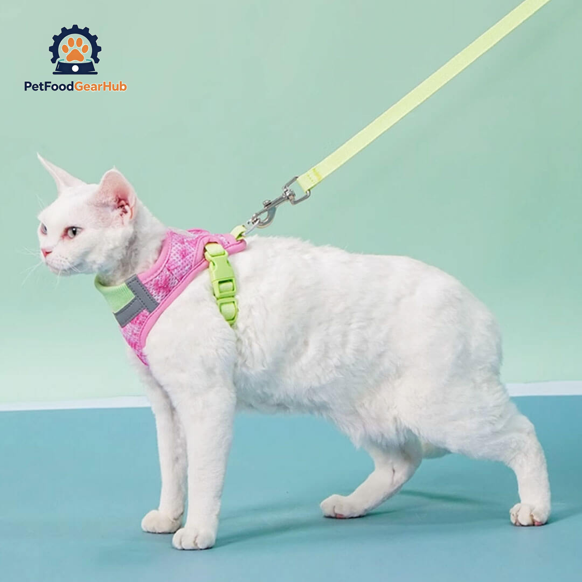 Devon Rex in Green & Pink Cat Vest Harness | PetFoodGearHub