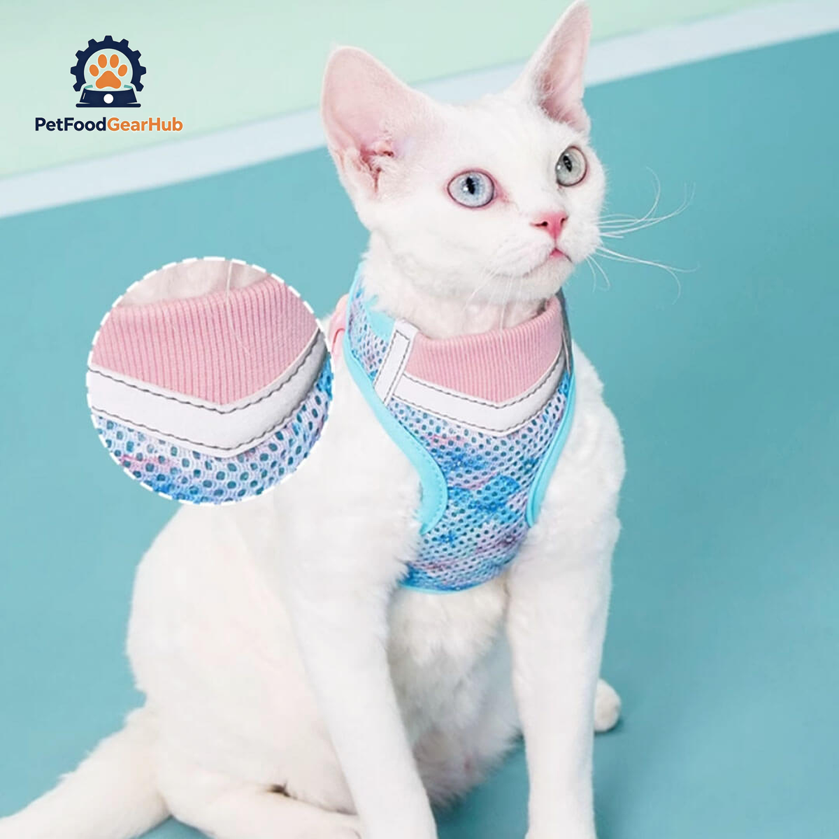 Devon Rex in Blue & Pink Cat Vest Harness | PetFoodGearHub