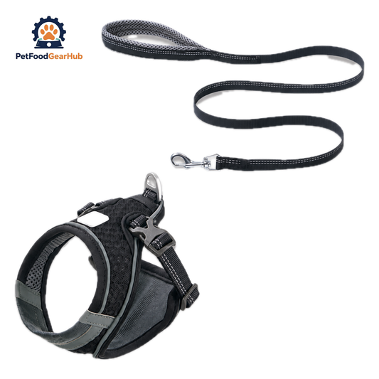 Black Mesh Vest Cat Harness & Leash Set | PetFoodGearHub