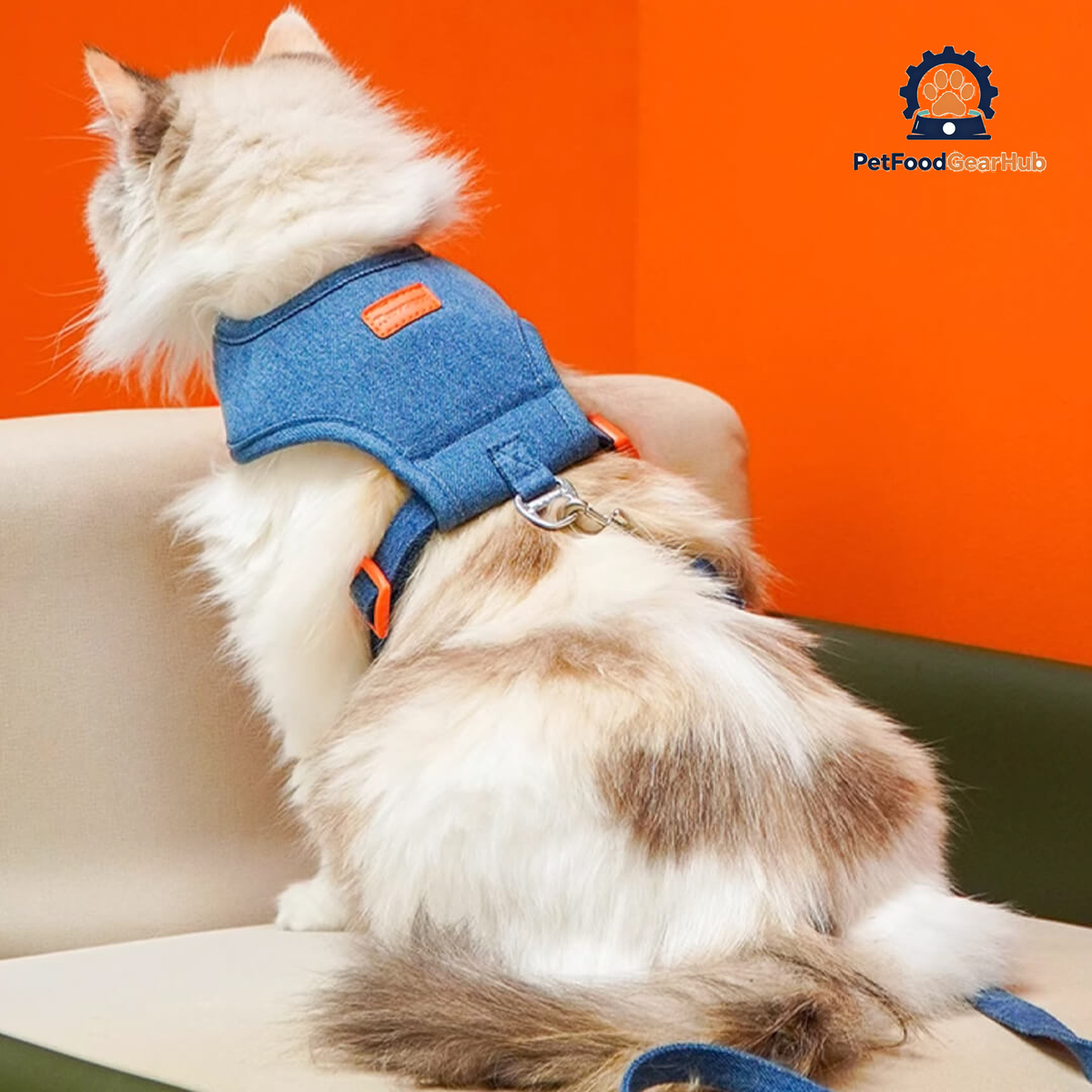 Cat in Denim Cat Harness | PetFoodGearHub