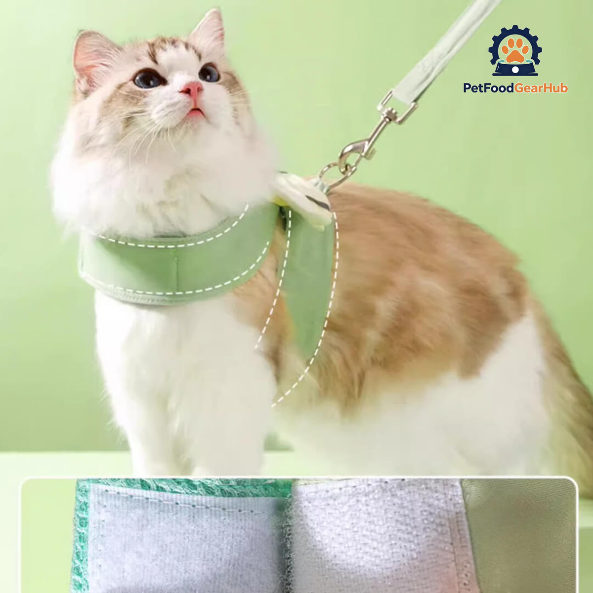 Cat in Avocado Angel Wings Harness on Leash | PetFoodGearHub