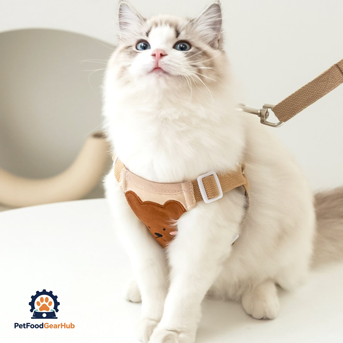 Cat Wearing Lolly Cat Harness In Beige | PetFoodGearHub
