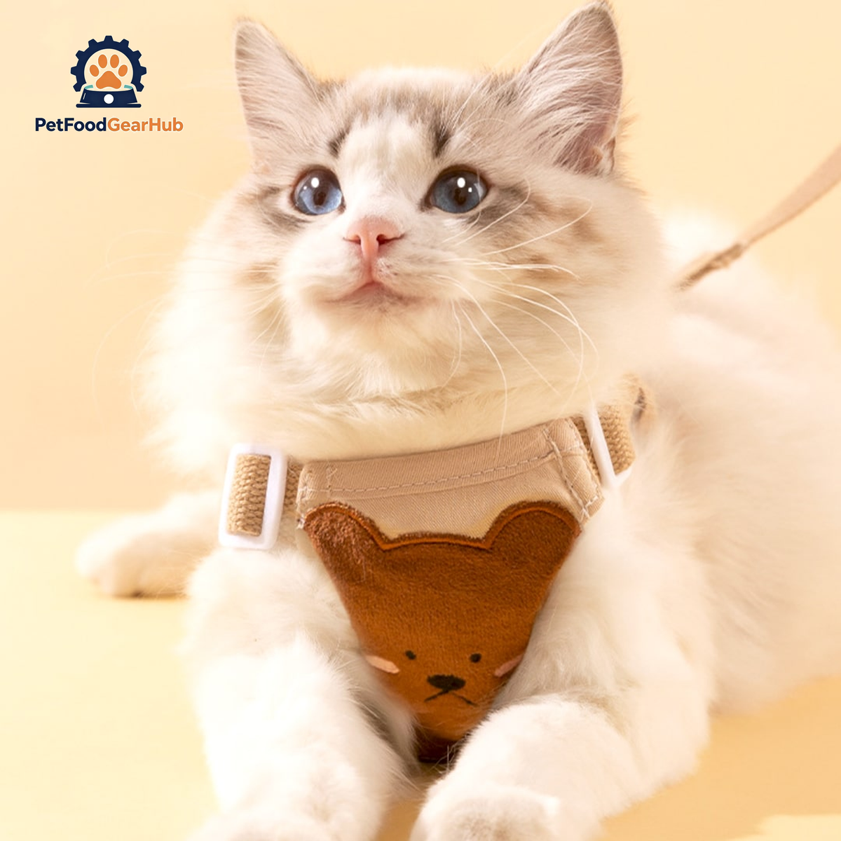 Cat Lounging In Lolly Cat Harness, Looking Adorable | PetFoodGearHub