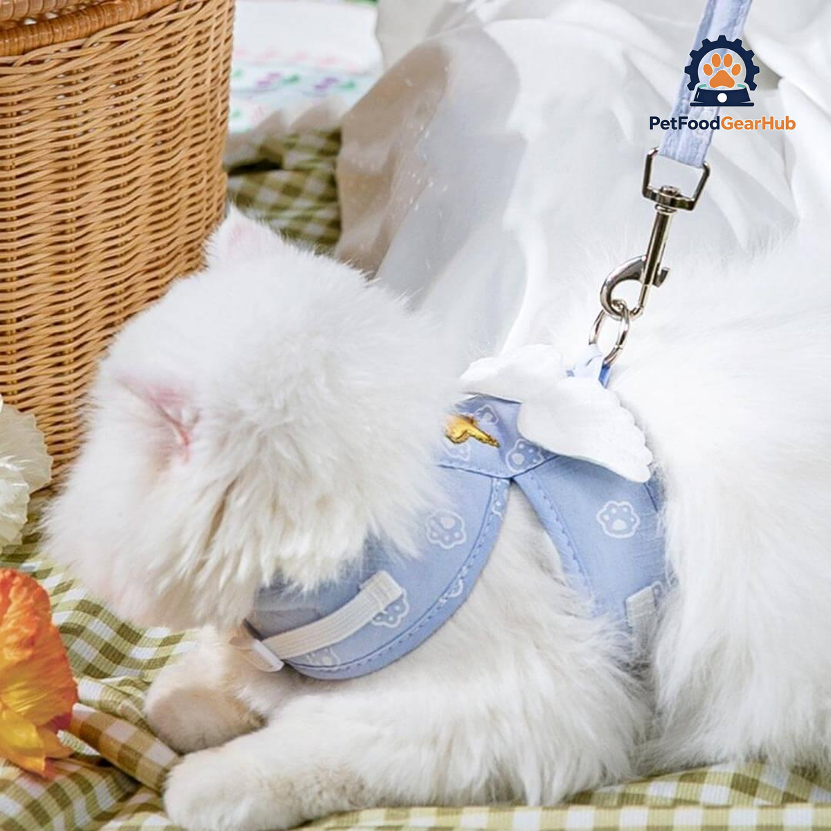 Cat Lying Down in Blue Angel Harness with Wings | PetFoodGearHub