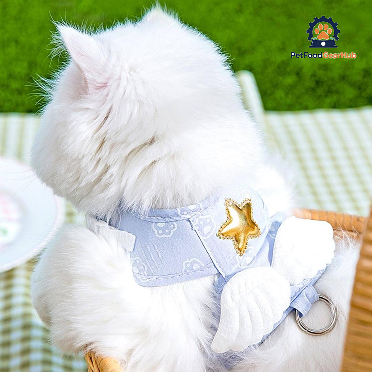 Cat Sitting in Blue Angel Harness with Wings from Back View | PetFoodGearHub