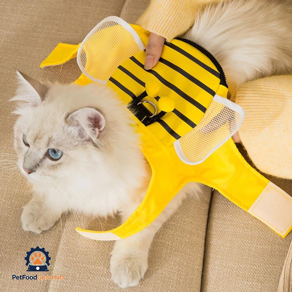 Holding Matching Leash with Honeybee Cat Harness | PetFoodGearHub