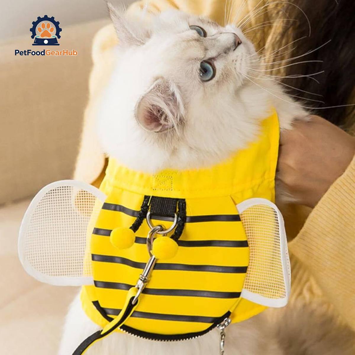 Cat Exploring Outdoors in Honeybee Cat Harness & Leash Set | PetFoodGearHub