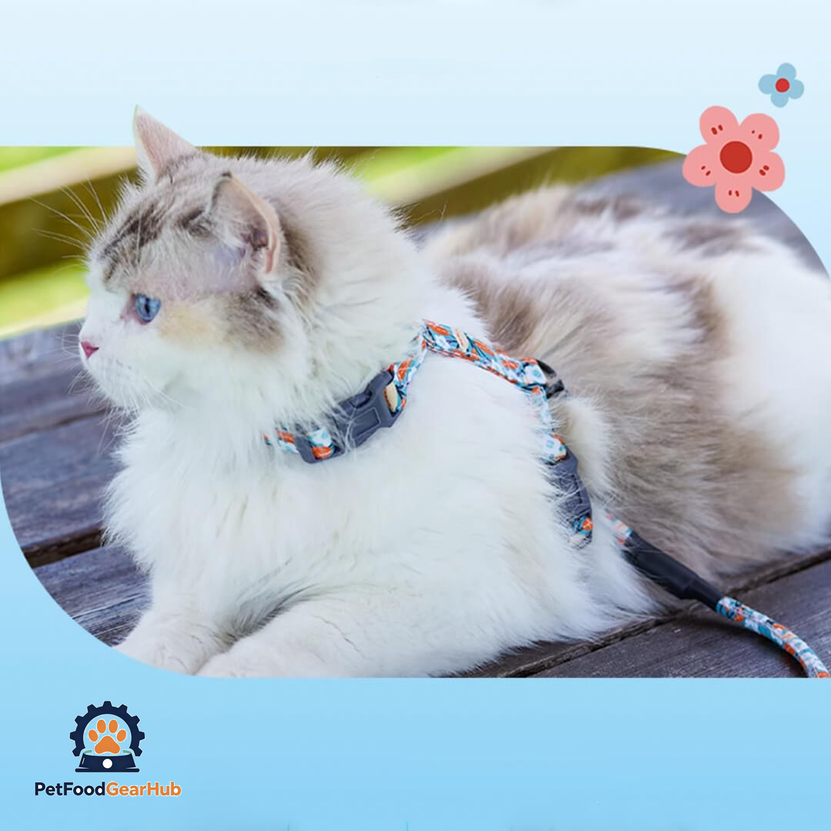 Cat on H-Style Floral Print Cat Harness | PetFoodGearHub