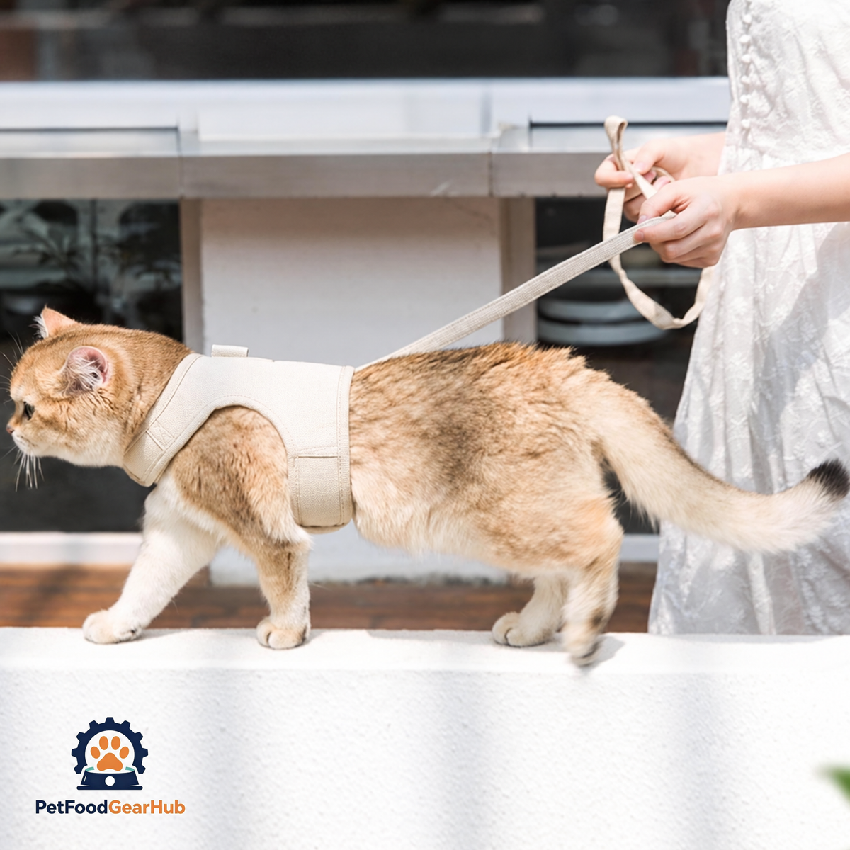 Cat Walking with Loki Cat Harness, Side View | PetFoodGearHub