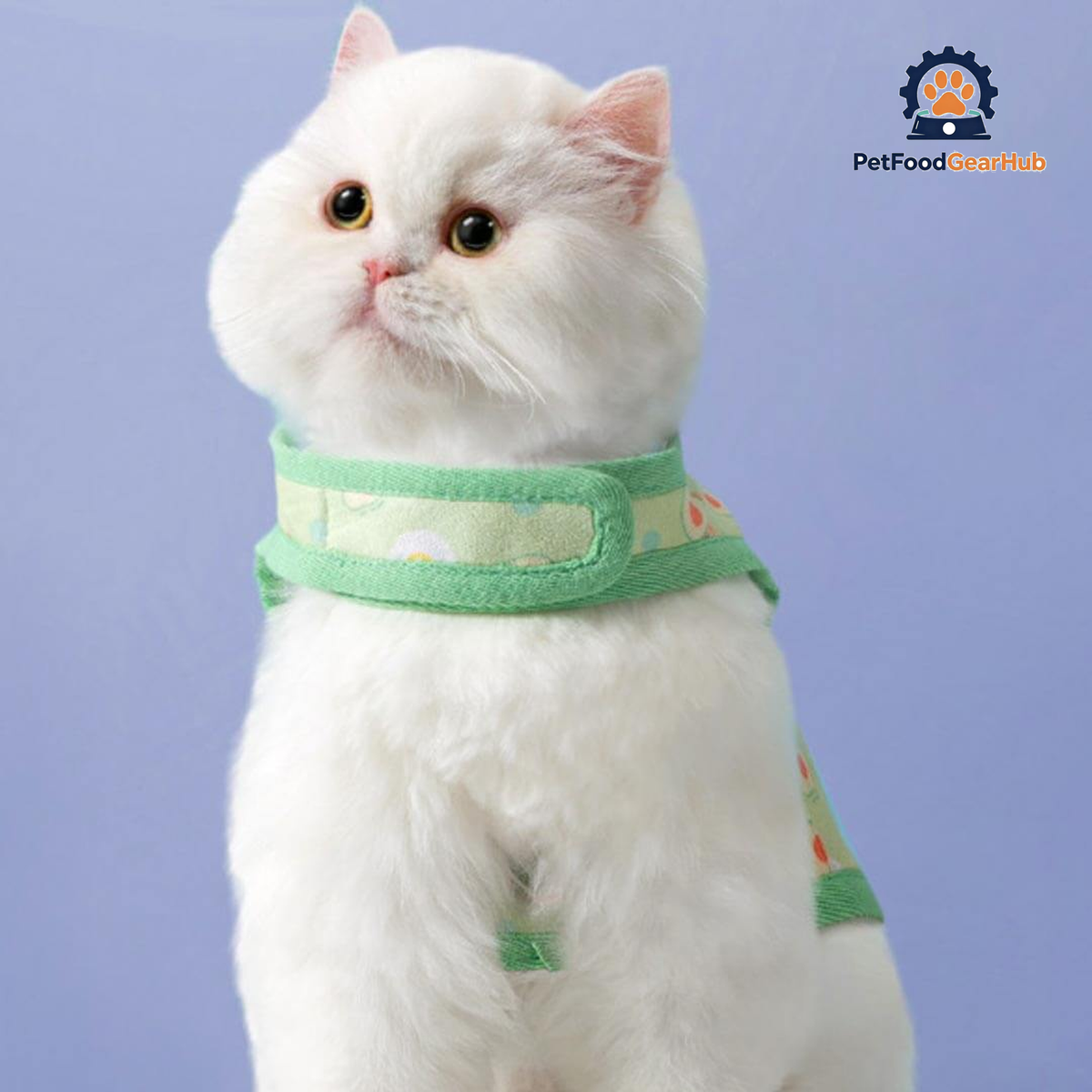 Cat Wearing Nova Cat Harness in Green | PetFoodGearHub