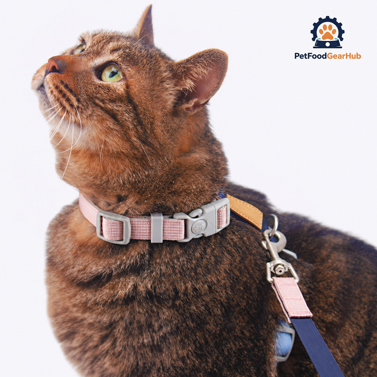 Cat on Honey Bunny H-Style Cat Harness | PetFoodGearHub