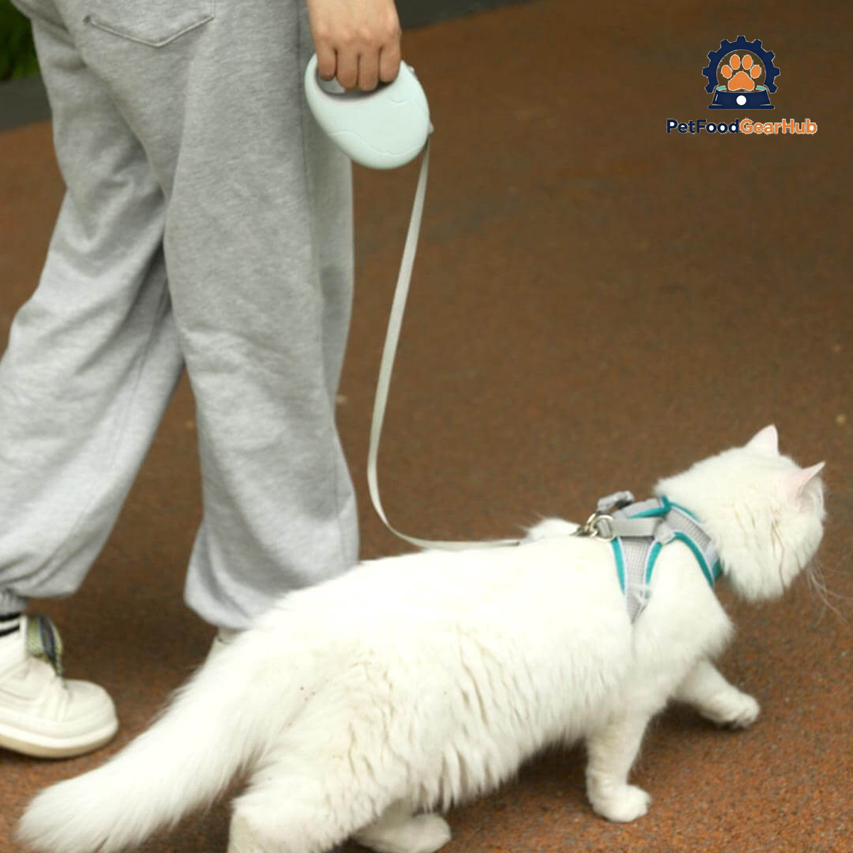 Walking Cat With Luna Retractable Cat Leash | PetFoodGearHub
