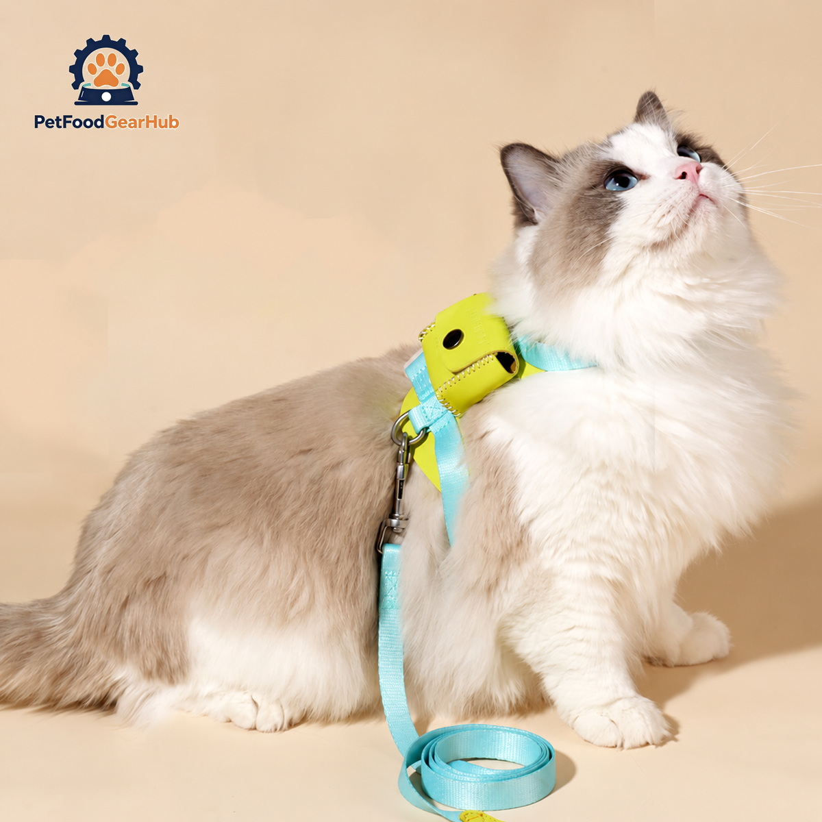Cat in Turquoise H-Style Harness with a Mini Bag | PetFoodGearHub