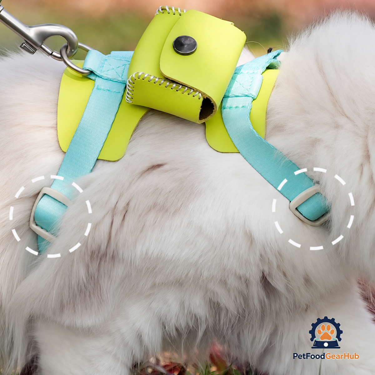 Adjustable Straps of a Turquoise H-style Cat Harness | PetFoodGearHub