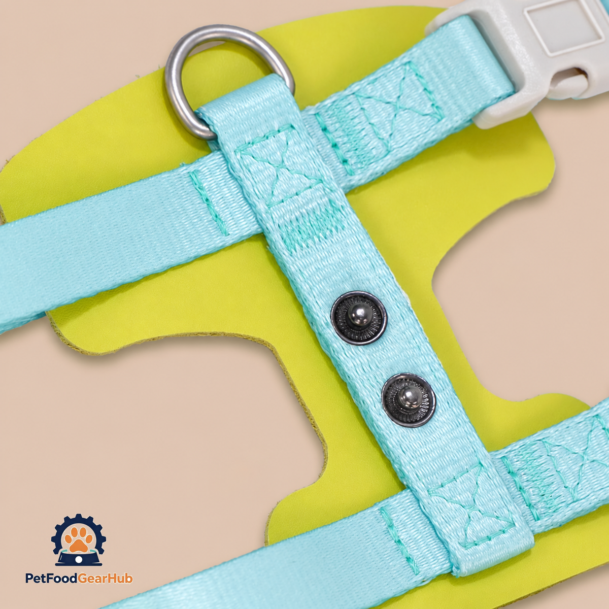 Turquoise H-Style Cat Harness | PetFoodGearHub