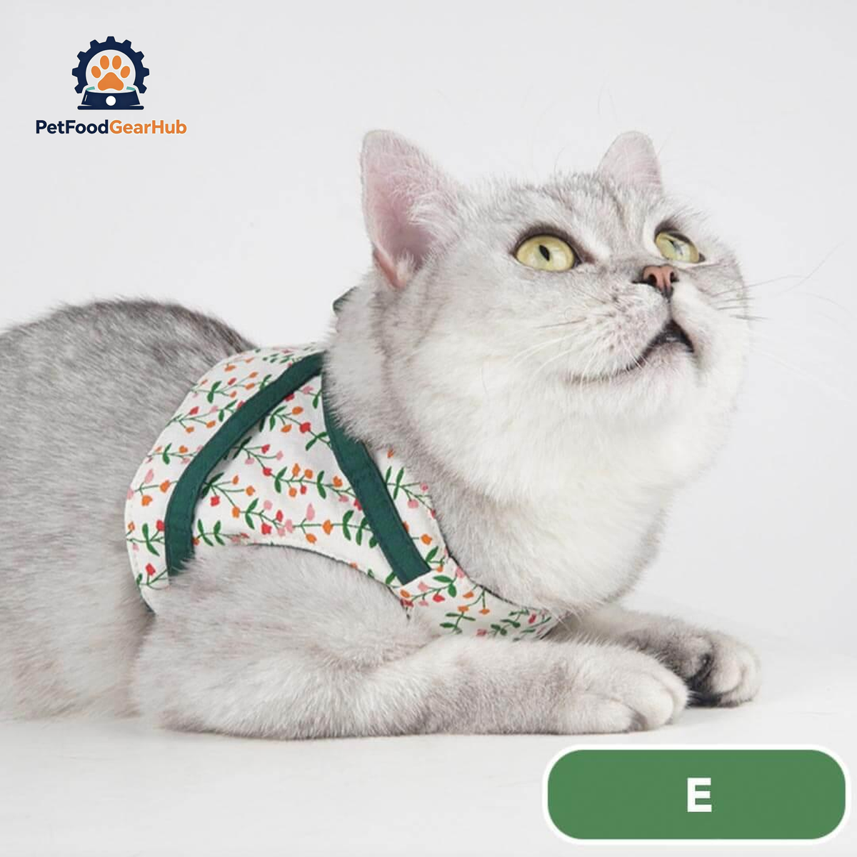 Cat Looking Up with Fleur Cat Harness in Floral Design | PetFoodGearHub