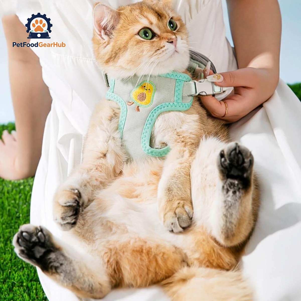 Cat Lounging With Milo Cat Harness | PetFoodGearHub