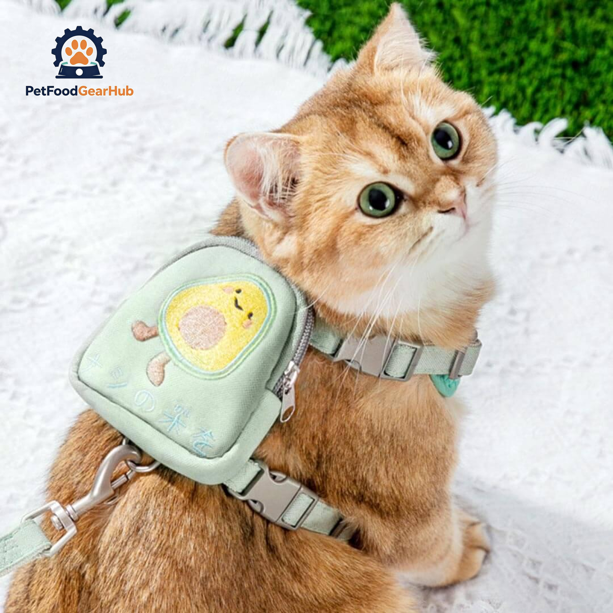 Cat Ready For A Walk With Milo Cat Harness, Wearing Mini Bag | PetFoodGearHub
