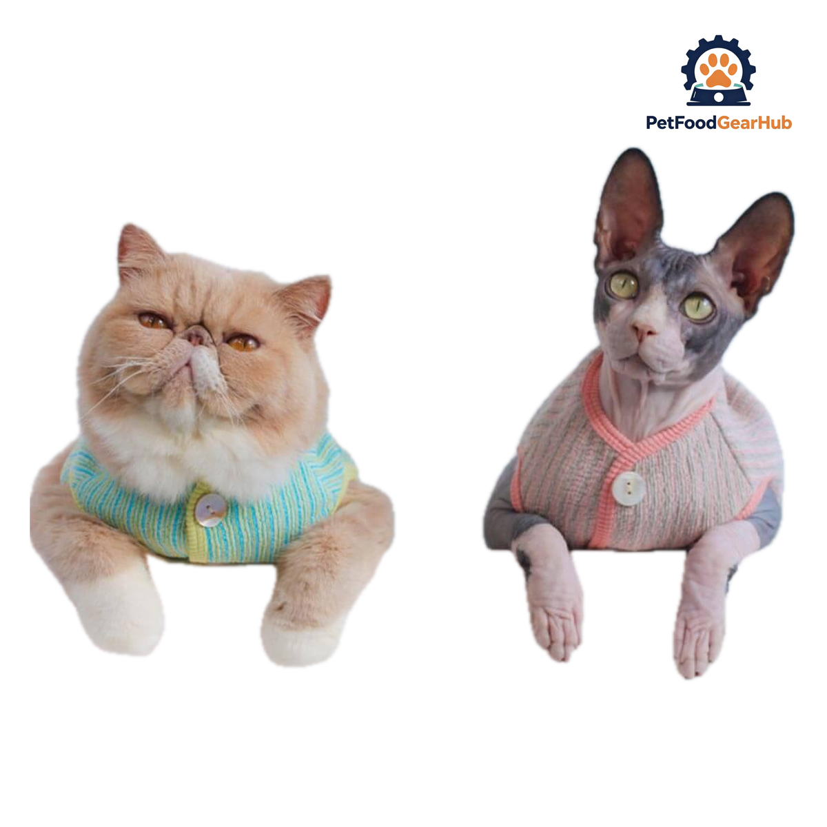 Daisy Cat Vest | Cats with Clothes | PetFoodGearHub