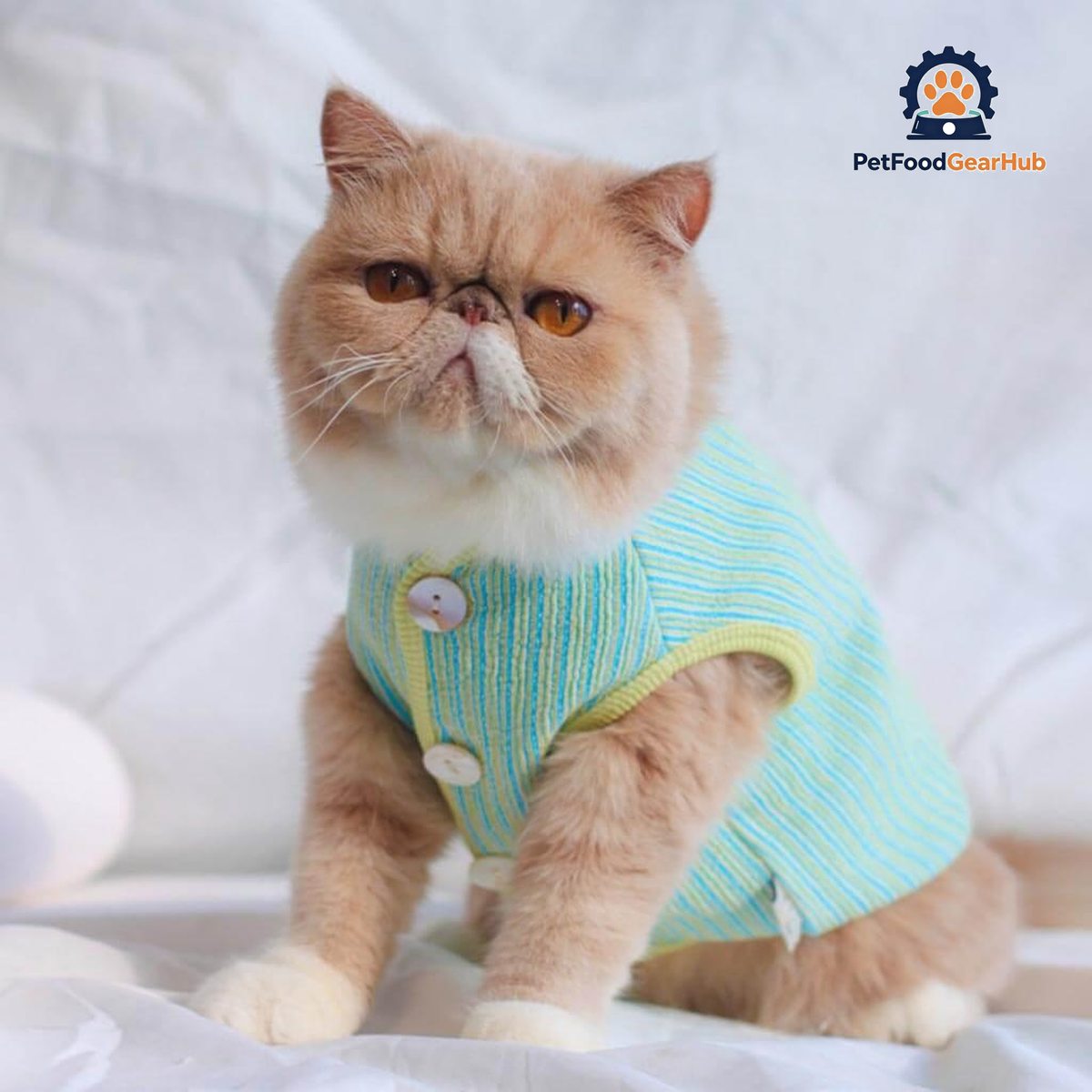 Catsby Cat Vest | Cat with Clothes | PetFoodGearHub