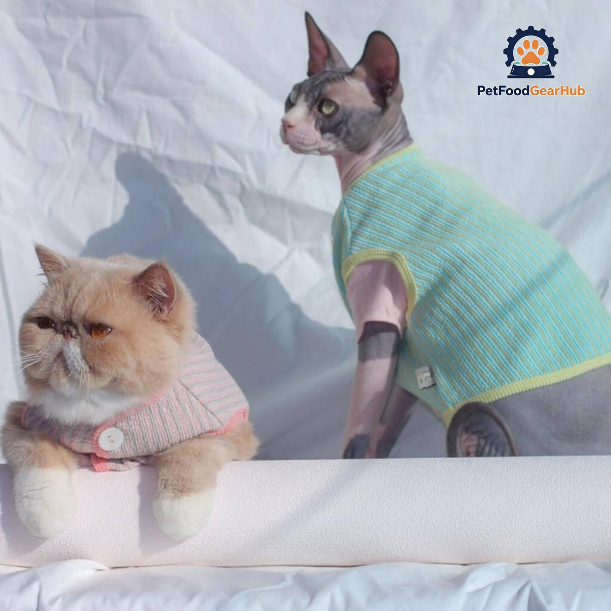 Catsby Cat Vest | Cats with Clothes | PetFoodGearHub