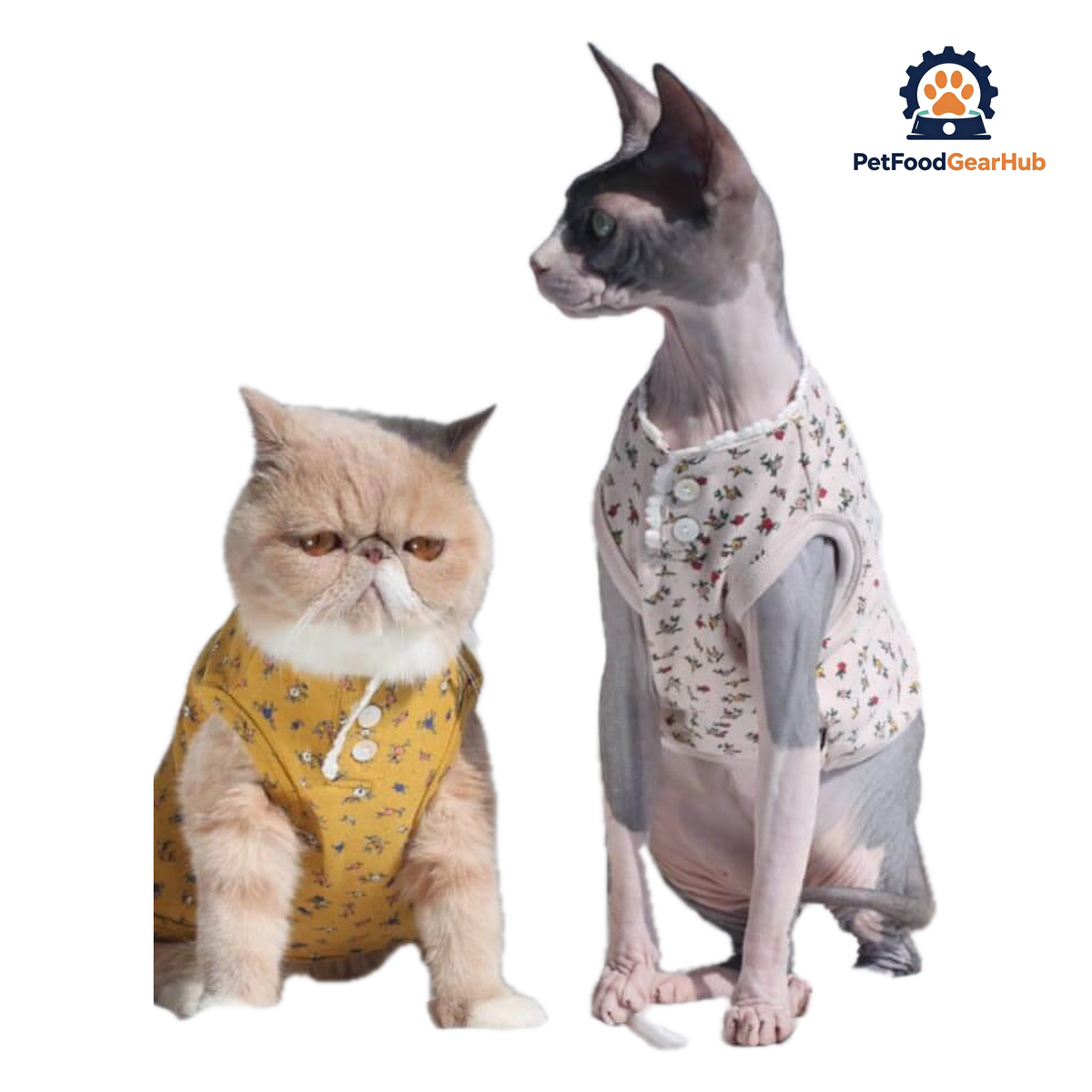 Daisy Cat Vest | Cat with Clothes | PetFoodGearHub