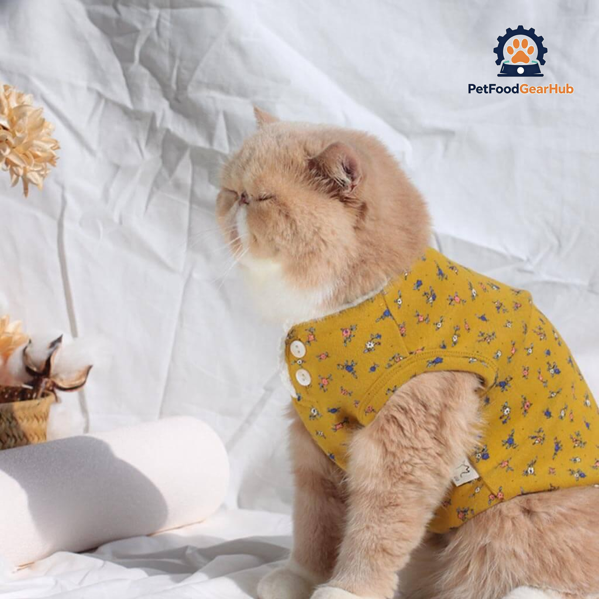 Daisy Cat Vest | Cat with Clothes | PetFoodGearHub