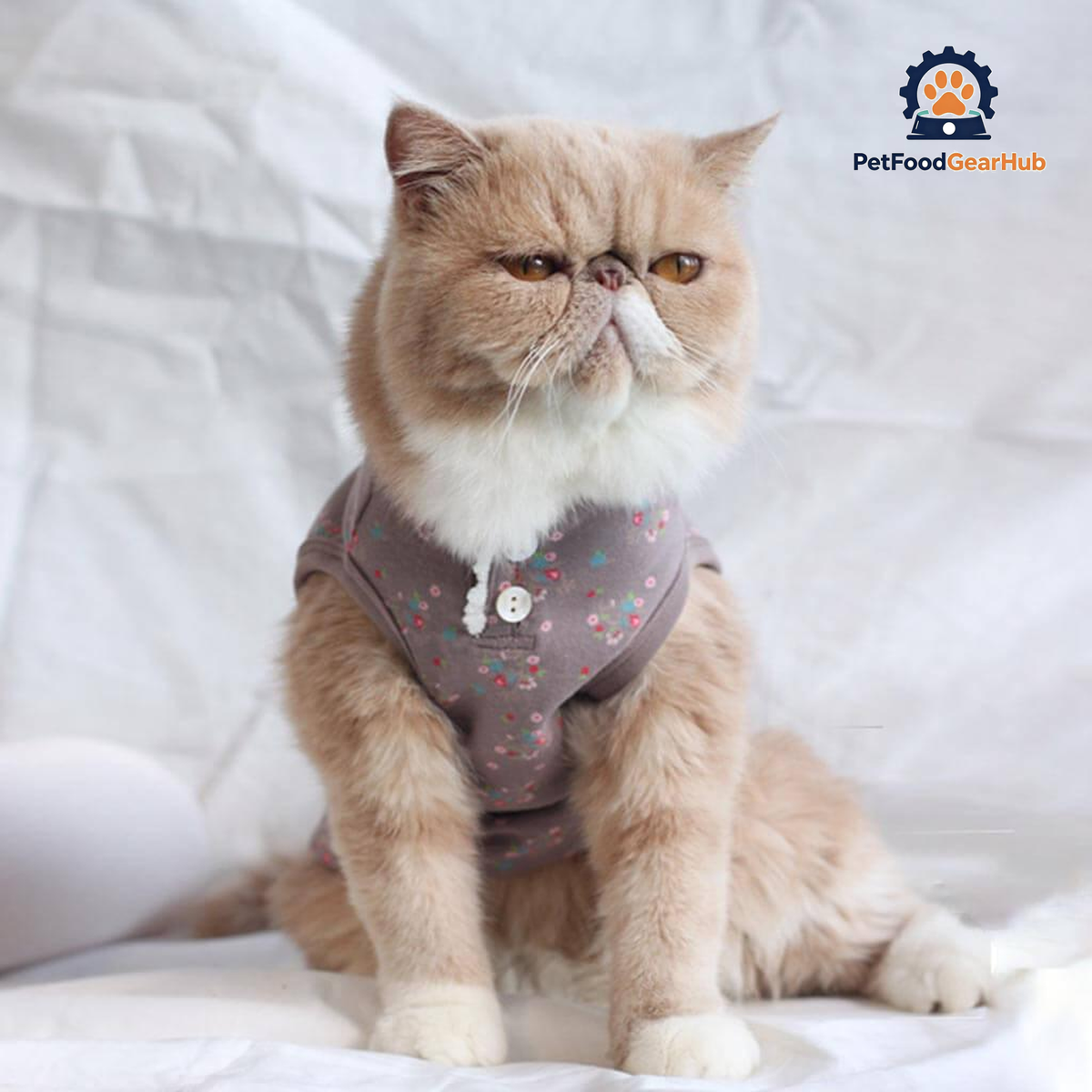 Daisy Cat Vest | Cat with Clothes | PetFoodGearHub