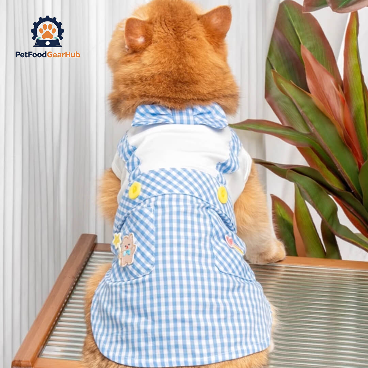 Cat in Blue Check Vest | PetFoodGearHub