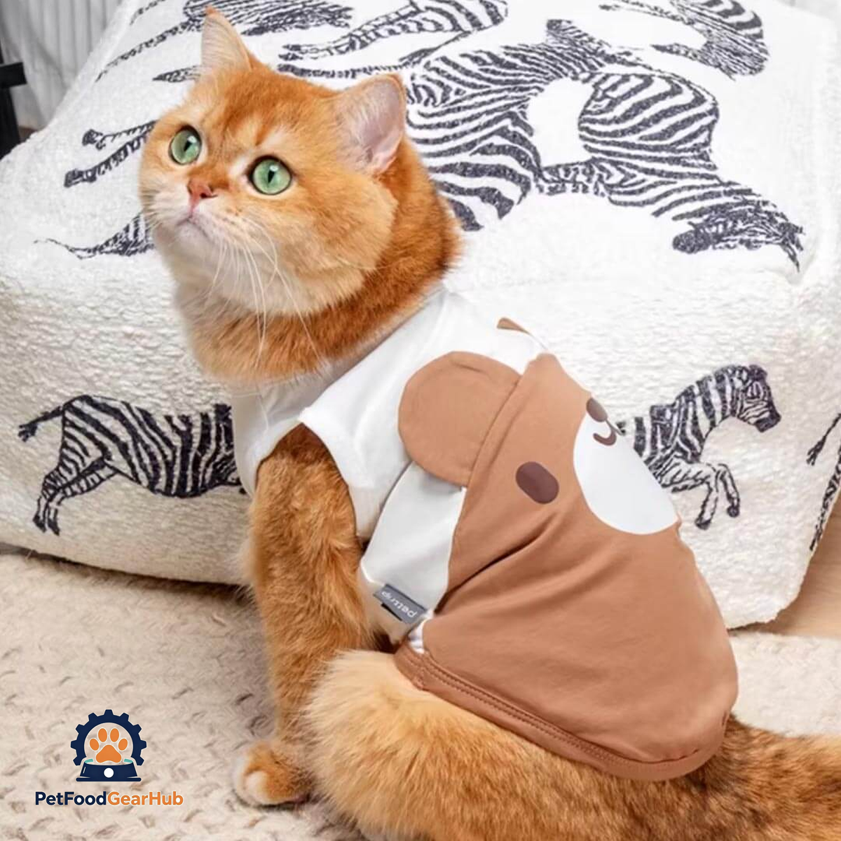Brown Teddy Bear Cat Vest On Cat Sitting Indoors | Adorable Cat Clothes | PetFoodGearHub